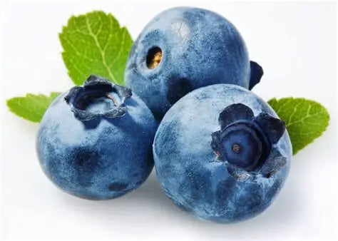 Semillas BLUEGOLD EL ORO AZUL